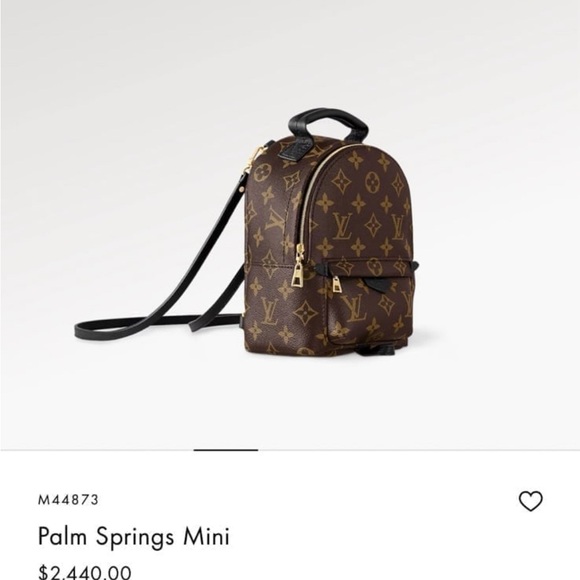 Louis Vuitton Palm Springs mini backpack - Picture 1 of 12